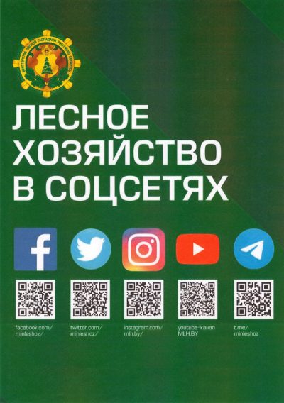 Untitled.FR12-scaled Untitled.FR12-scaled